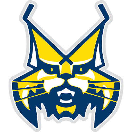 HK Spišská Nová Ves badge
