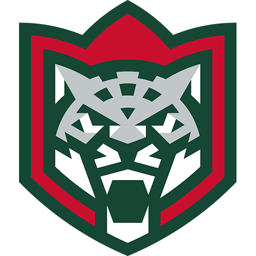 Ak Bars Kazan badge