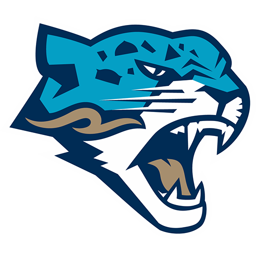 Barys Nur-Sultan badge