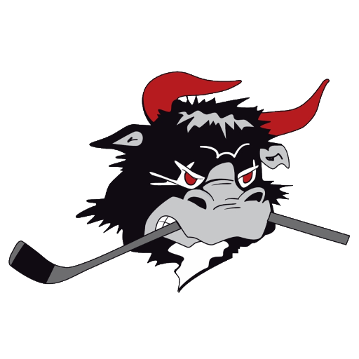 Rødovre Mighty Bulls badge