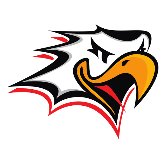 Vaasan Sport badge