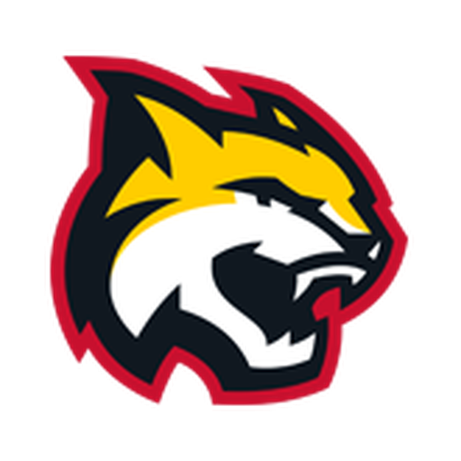 Gomel badge
