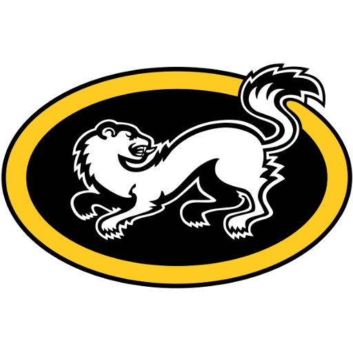 Kärpät badge