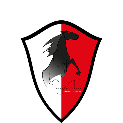 Merani Martvili badge