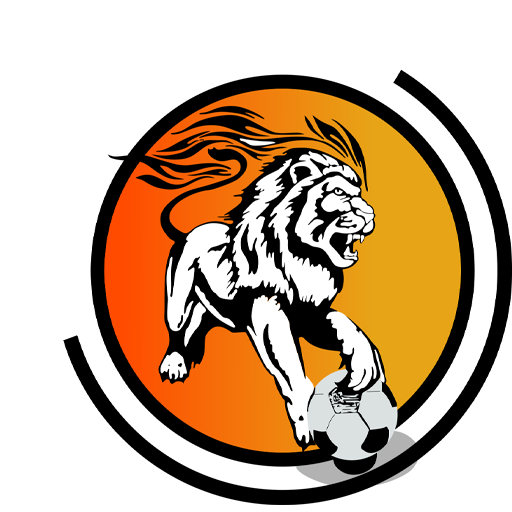 Hapoel Kfar Shalem badge
