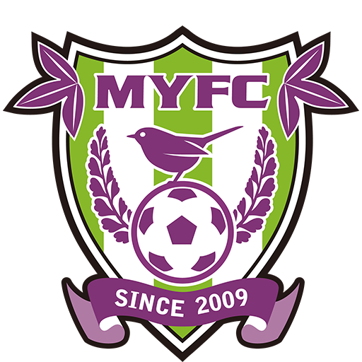 Fujieda MYFC badge
