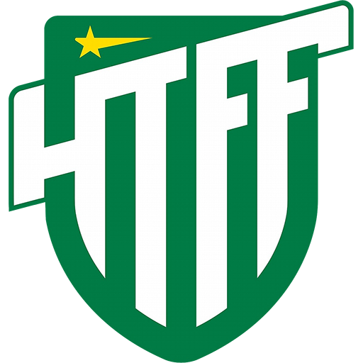 Hammarby Talang badge