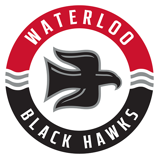 Waterloo Black Hawks badge