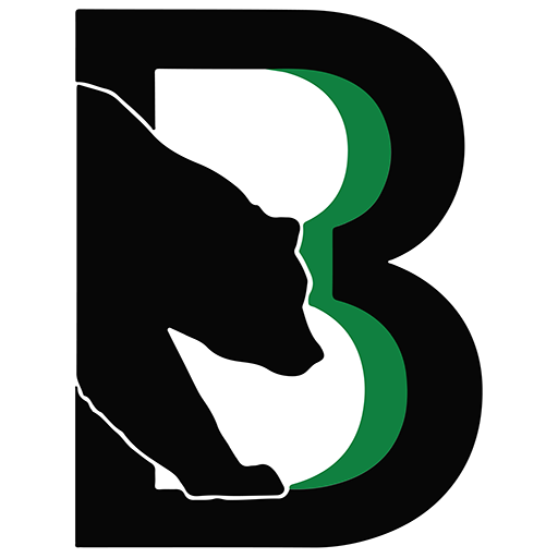 Binghamton Black Bears badge
