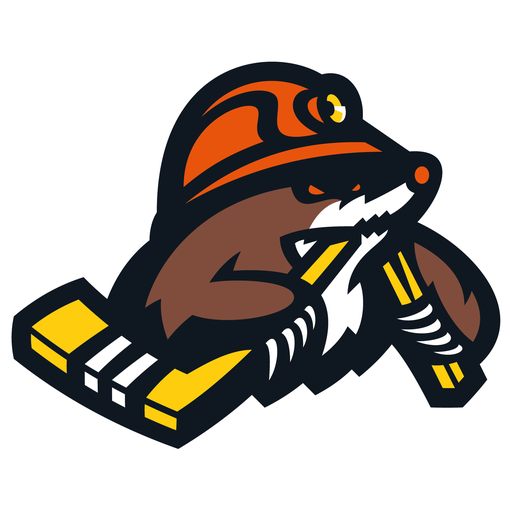 HC Shakhtyor Soligorsk badge