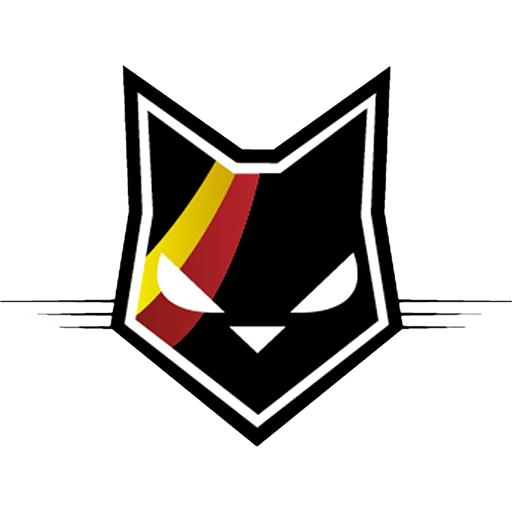 Belgium Basketball Women badge