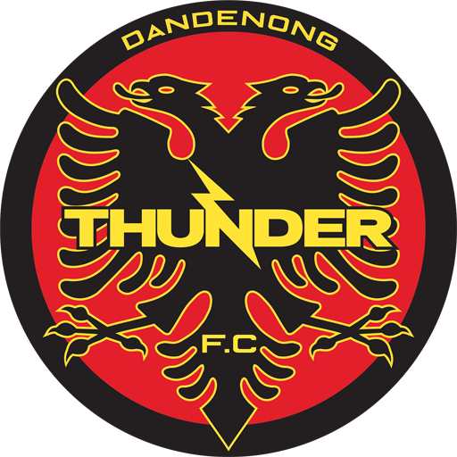 Dandenong Thunder badge