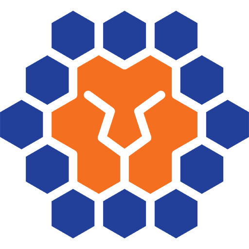 Queensland Lions badge