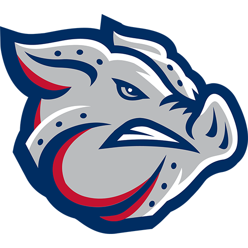 Lehigh Valley IronPigs badge