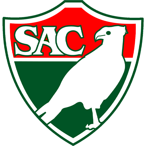 Salgueiro badge