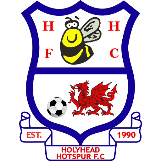 Holyhead Hotspur badge