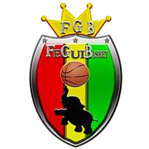 Guinea Basketball badge