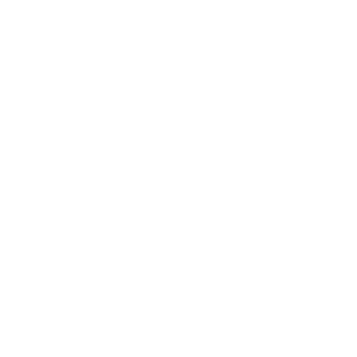 Universitatea Olimpia Cluj Feminin badge