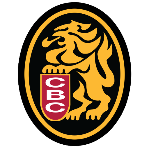Leones del Caracas badge