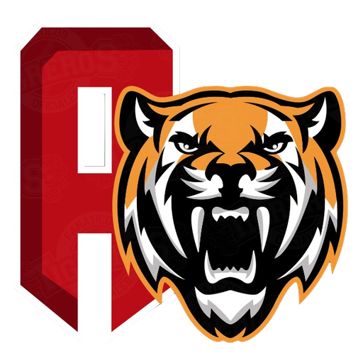 Tigres de Aragua badge