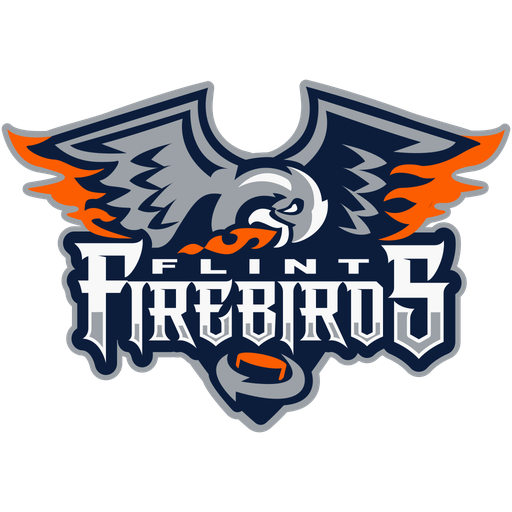 Flint Firebirds badge