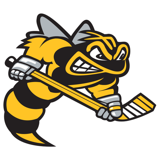 Sarnia Sting badge