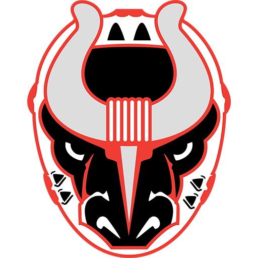 Birmingham Bulls badge