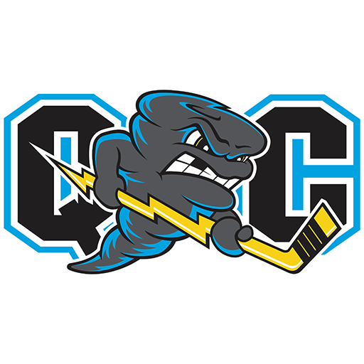 Quad City Storm badge