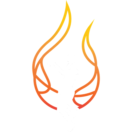 Townsville Fire badge