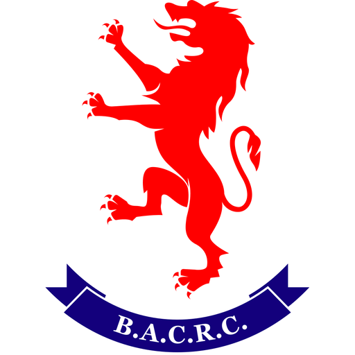 Buenos Aires badge