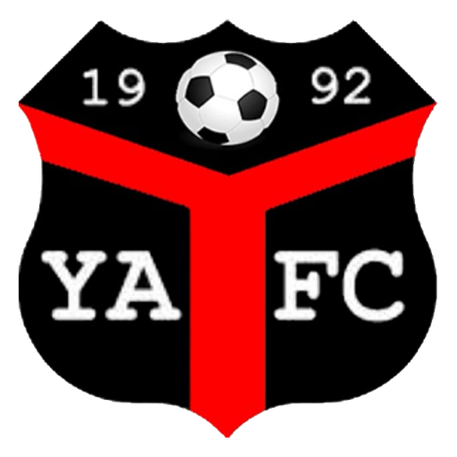 Ynyshir Albions badge