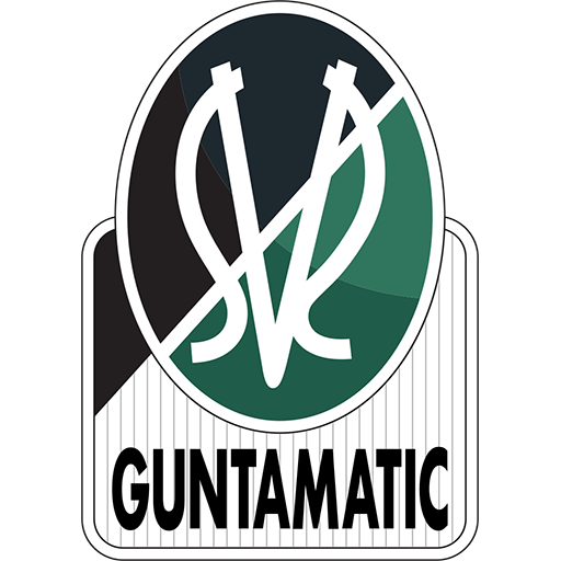 Junge Wikinger Ried badge