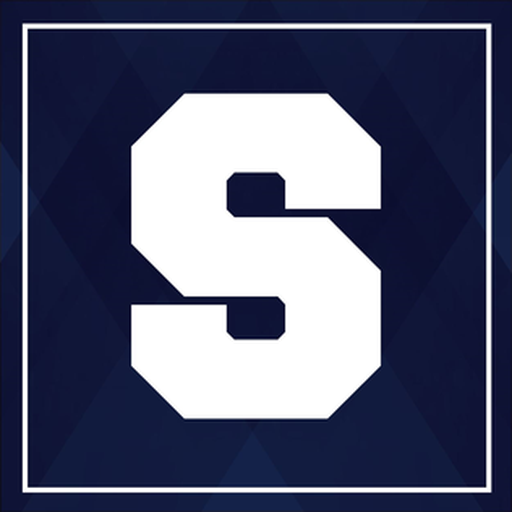 Straubing Spiders badge