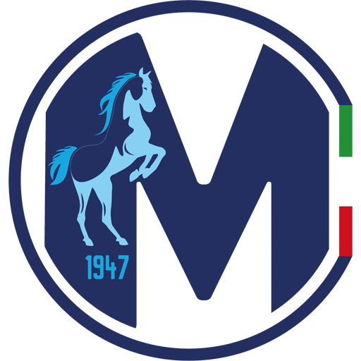 Martina badge