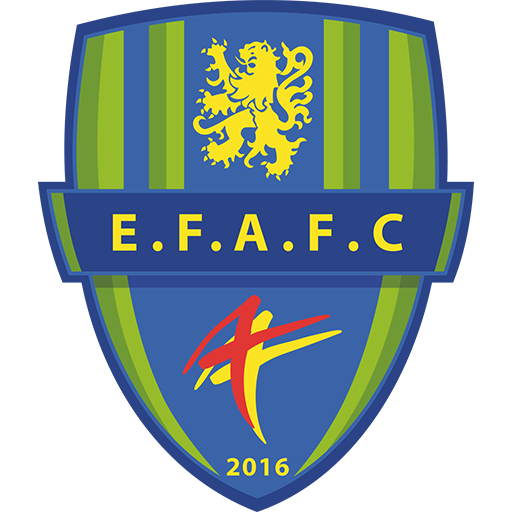 Entente Feignies Aulnoye badge