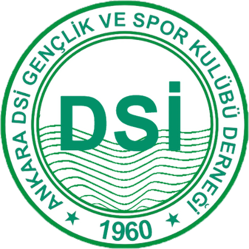 Ankara DSİ badge