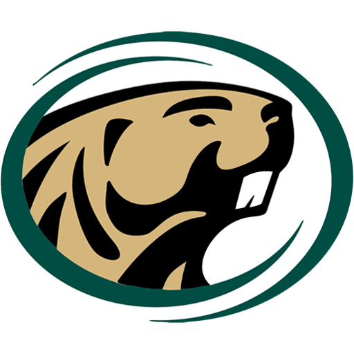 Bemidji State badge