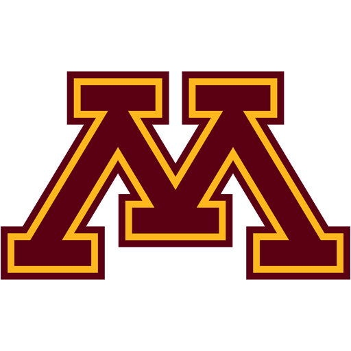 Minnesota badge