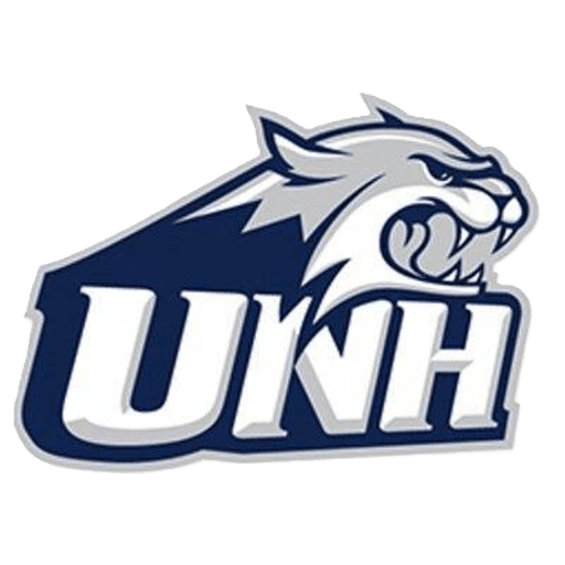 New Hampshire badge