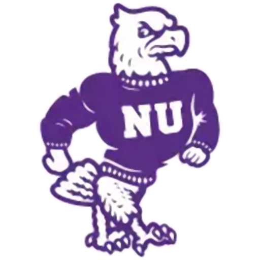 Niagara badge