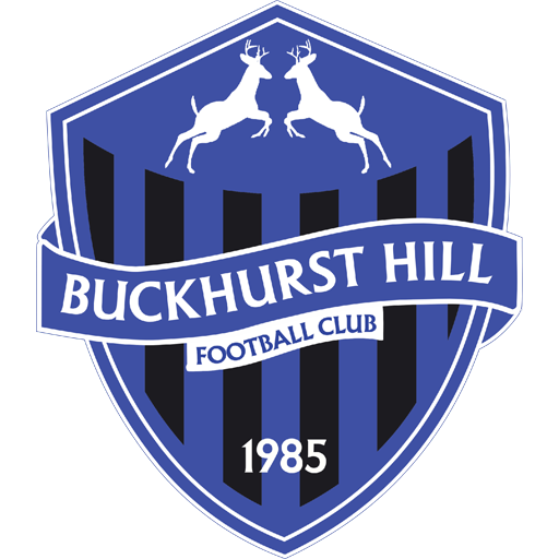 Buckhurst Hill badge