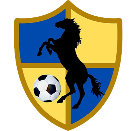 Racing United badge
