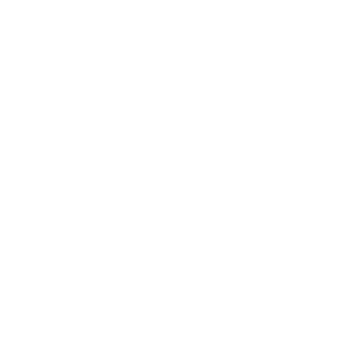 Dinamo Tbilisi Youth badge