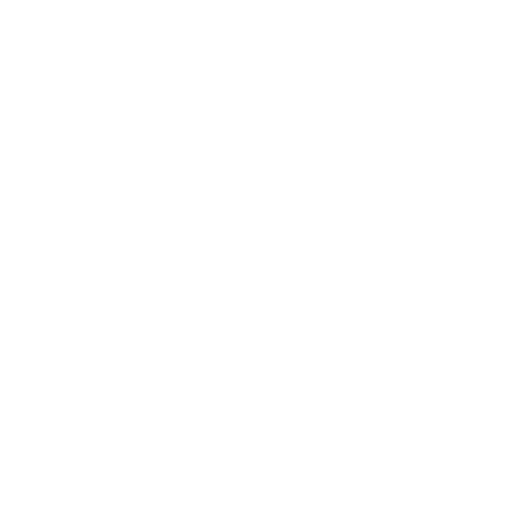 Lyonso Basket badge