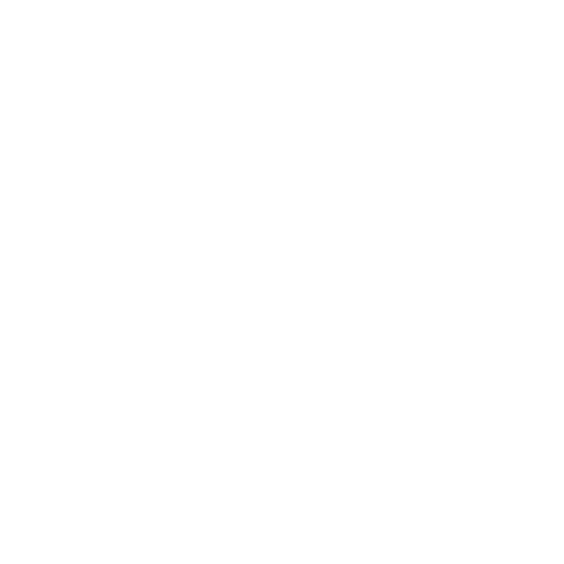 Bàsquet Sant Antoni badge