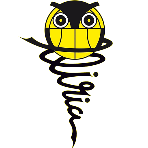 CEB Llíria badge