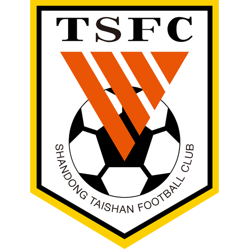Shandong Taishan B badge