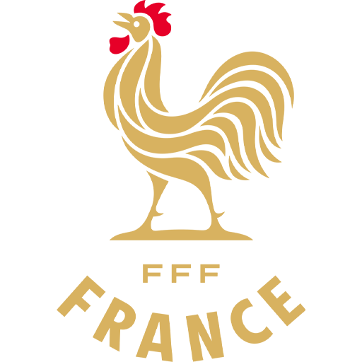 France U17 badge