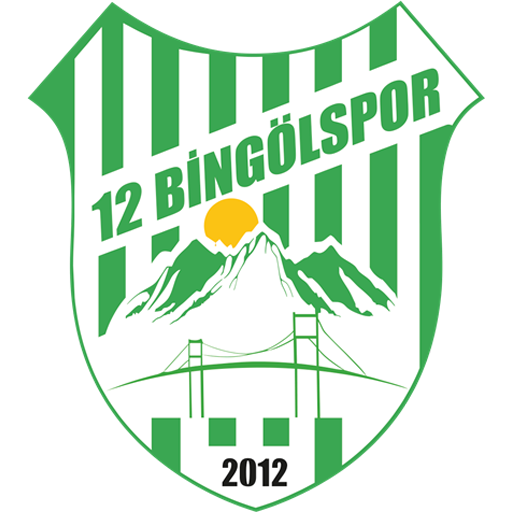 12 Bingölspor badge