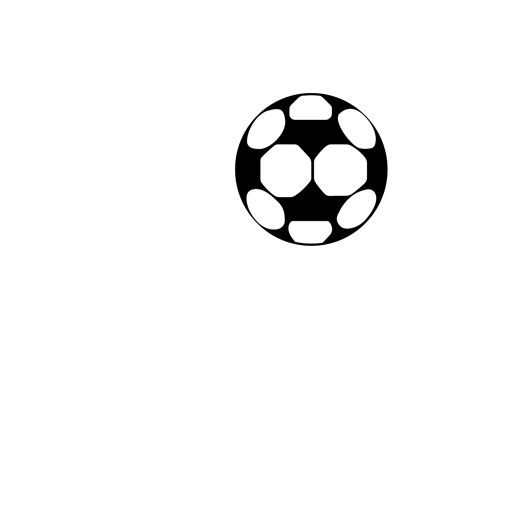 Fakirerpool YMC badge